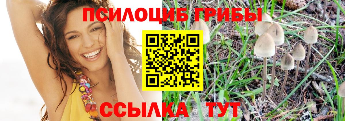 Псилоцибиновые грибы Югорск